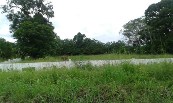 tvnnoticias's tweet photo. Reporta @isaacjose76: Cementerio de Finca Blanco, Puerto Armuelles en total Abandono @Chiriqui @tvnnoticias http://t.co/hpRu8R7rO5