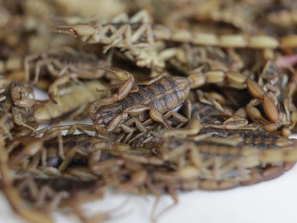 g1's tweet image. Restaurante mexicano serve tacos recheados de escorpiões; veja fotos glo.bo/1pdRE0Z #G1PlanetaBizarro http://t.co/swBvrVgQZy"