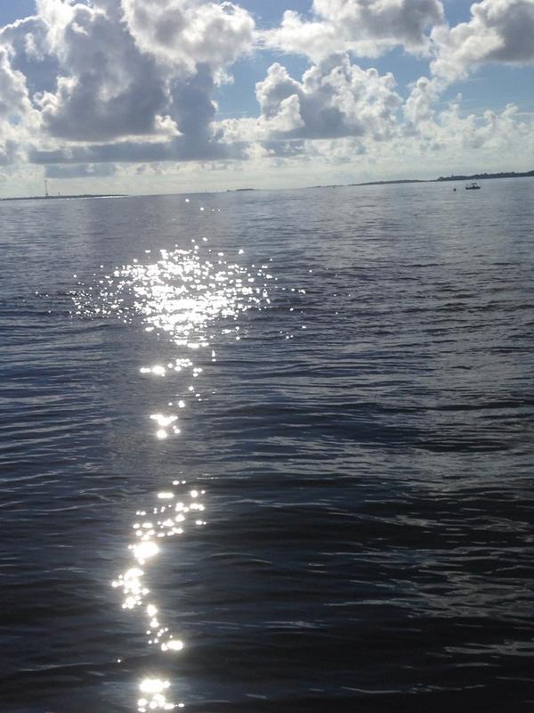 RYiNO365's tweet photo. 500 retweets and I'll swim to Fort Sumter from the battery http://t.co/oR6f7VCUsP