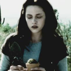 Watching Twilight. Happy Birthday Bella Swan - Cullen 