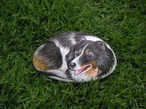 Javed93090176's tweet photo. Sweet dog http://t.co/SzpB39jsTk