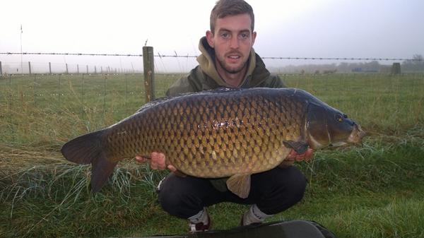 29_Buck's tweet photo. Another pristine 20lb farm lake common graced the net last night #uncaught #tigernut @ccmoore_baits @atomictackleuk http://t.co/Oiz8DzX8SP
