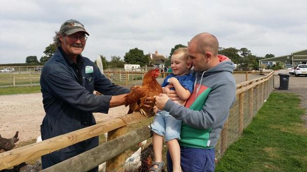 kristen Castle tweet media