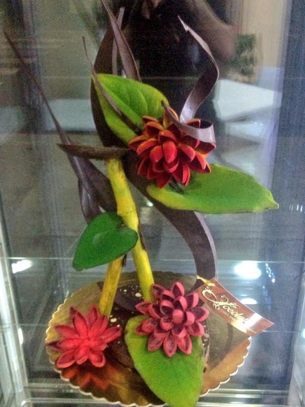 xocolate (@xocolatecatania) on Twitter photo 