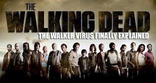 PredatorTurtle1's tweet image. 