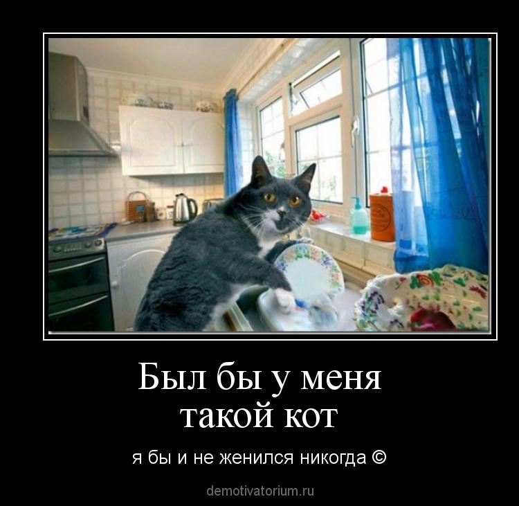 BxbtyJOIgAACZPK.jpg:large