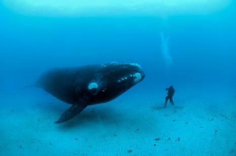 Per Texas Johansson tweet media