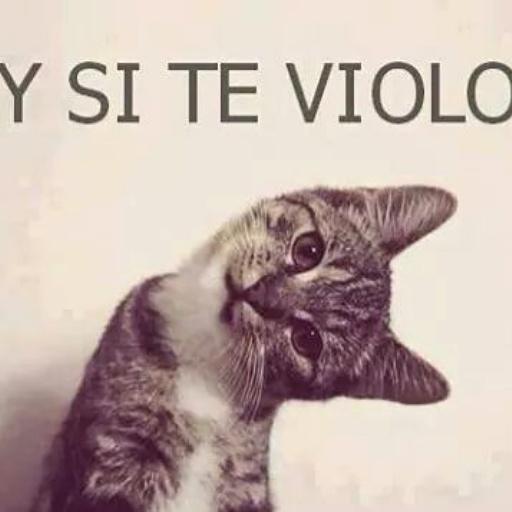 un tal Raulee tweet media