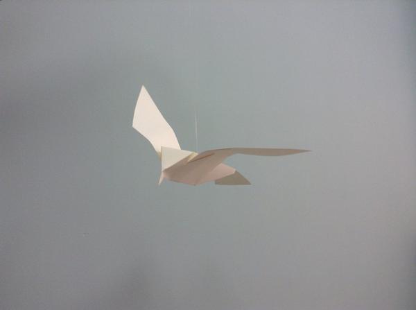 Spirituafin's tweet photo. Últ día! Mñn nuestros #Pájarosdemuseo detienen su vuelo tras 1largo verano sobrevolando la @BNE_museo .Mil Gracias! http://t.co/Csi9mhSaVH