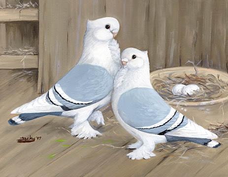 tanveerbutt2715's tweet photo. http://t.co/8irB6UZ0Wy