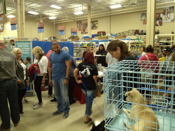 #Eastpetm, #Inspiredbypets. Animal Rescue R Us busy finding furever homes.