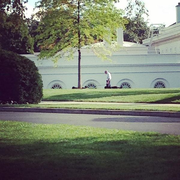 whphotos2013's tweet image. I spy a Bo and a sunny #thewhitehouse #boandsunny #whitehouse