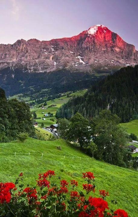 #view