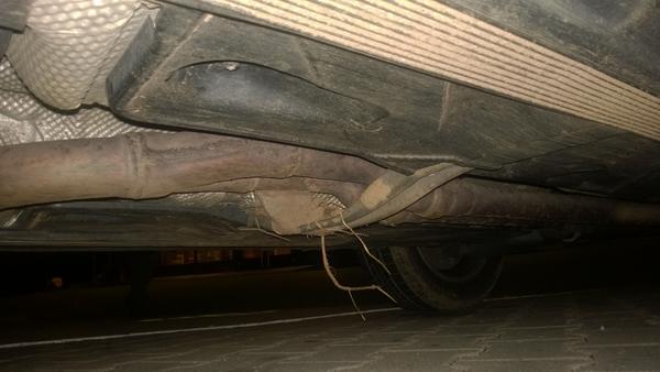 DanielVavra's tweet image. And when the fun was over, I found a stowaway :)