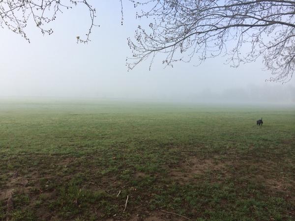 I can hear the chukkas but I can't see them??
Ghost polo? At Windsor polo club.