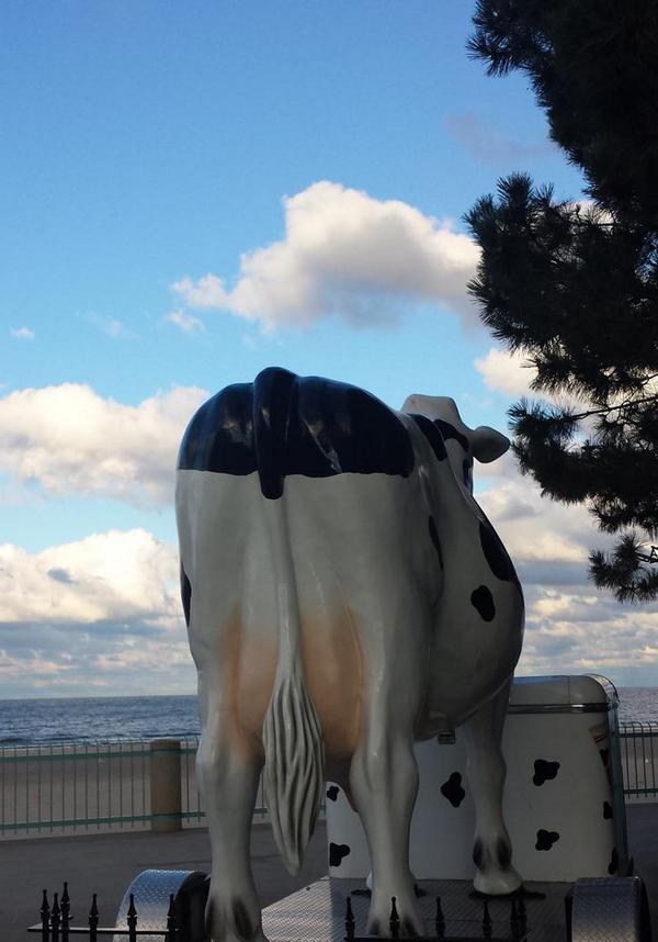 UdderlySmooth's tweet image. Lake Erie is calm the adventure is close by #bloggycon14