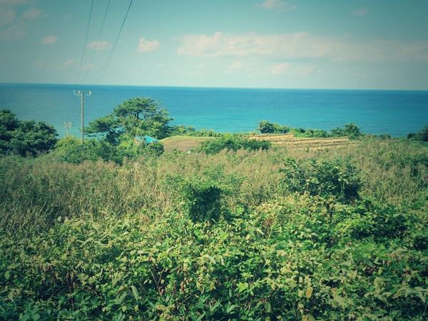 nozomuzzzz's tweet photo. Blue Forest。写真撮ったあと気づいたけど、ここまで県名に忠実な県ないな。 http://t.co/88vZ4X9Z9G