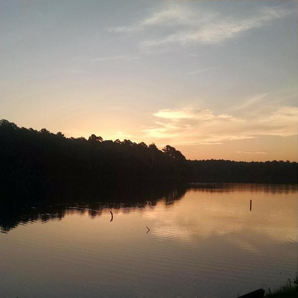a2parke's tweet photo. Some photos from today. http://t.co/2wB1TnzfOo