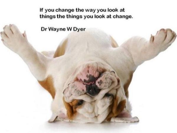 LiveWireNetwork's tweet image. Lets talk change @ #livewirenetwork conference in October 2014. To register visit wollongong.nsw.gov.au/livewire