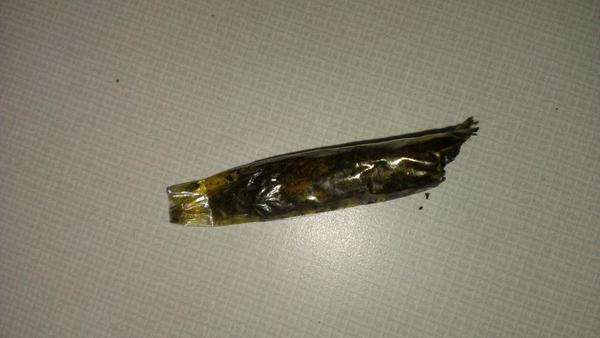 RayTempus's tweet image. #FromThis #ToThis #2this 2this.
#420 #marijuana #ganja #weed.