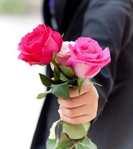 g207770's tweet photo. صباح الخير للجميع 🌹🌹🌹🌹🌹💐🌷🌸 http://t.co/FZSXdackE9