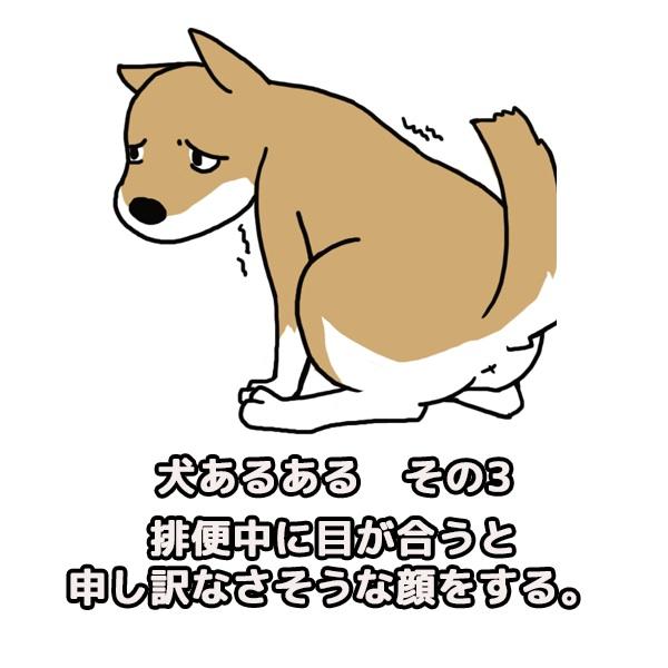 紺青さんのツイート 犬あるある 排便中に目が合うと申し訳なさそうな顔をする Http T Co 50yhgamn66 脱出ゲーム ワンコ お部屋からの脱出の巻 Http T Co Stmt6l4pfx