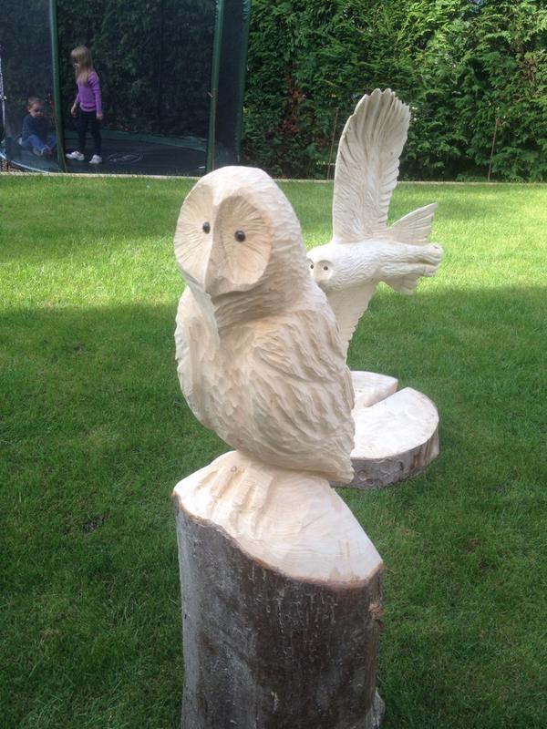 CCarving tweet picture