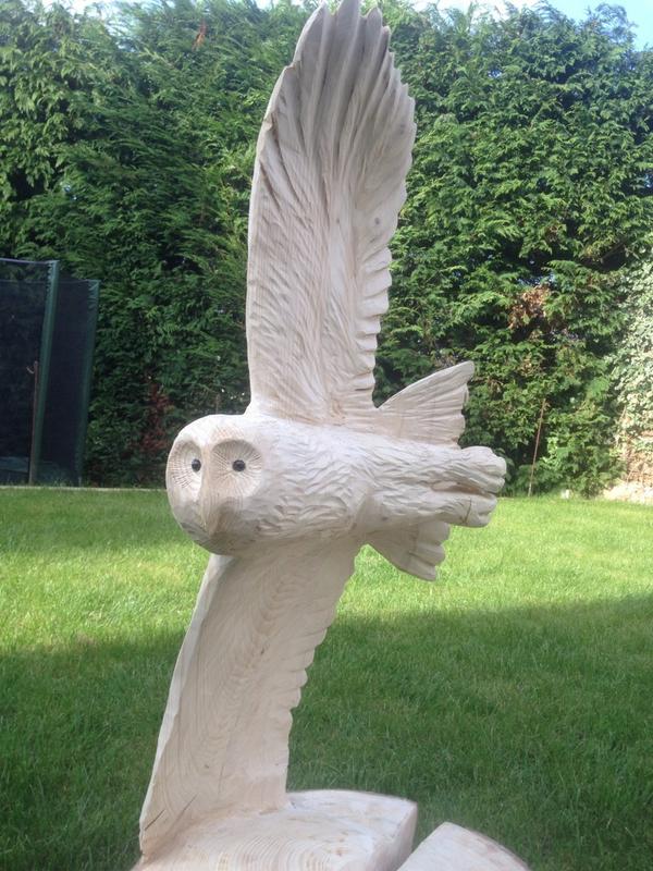 CCarving tweet picture