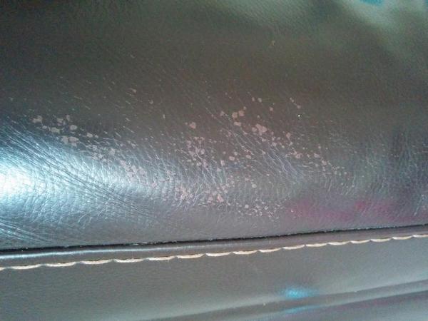 Mr Belarus tweet media