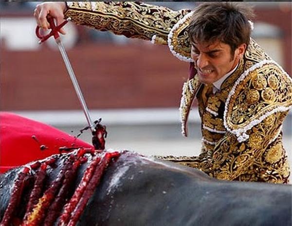 patas_de_gato's tweet image. Sign &amp;amp; RT, pls! PETITION Help us get bullfighting relegated to the history books. petauk.org/bullfighting1 via @PETAUK