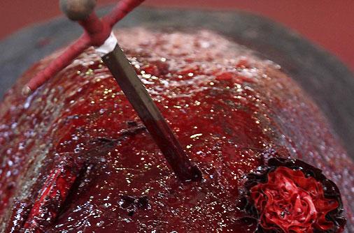 patas_de_gato's tweet image. Sign &amp;amp; RT, pls! PETITION Help us get bullfighting relegated to the history books. petauk.org/bullfighting1 via @PETAUK