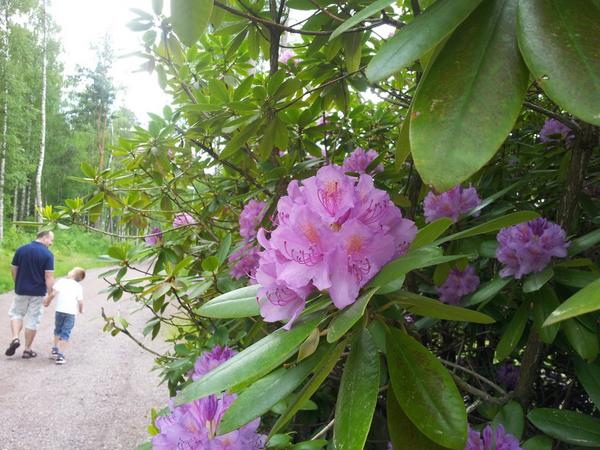 Danielcsatari's tweet image. 