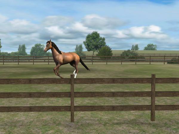 Check out my photo! Add me, RiskyMetal491. #MyHorse  nmgam.es/horse_twitter