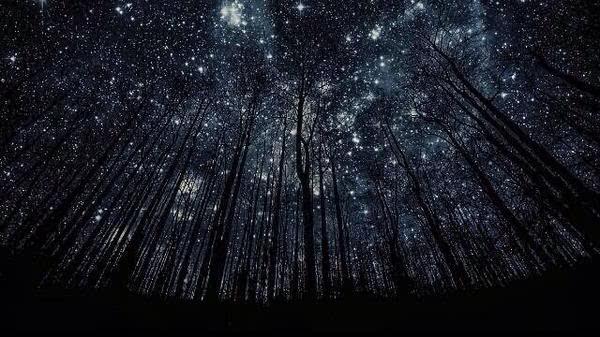 phamous_rage's tweet photo. The sky is big enough for a trillion stars to exist among each other beyond limits, constraints, and borders. http://t.co/SFRKhxAwyT