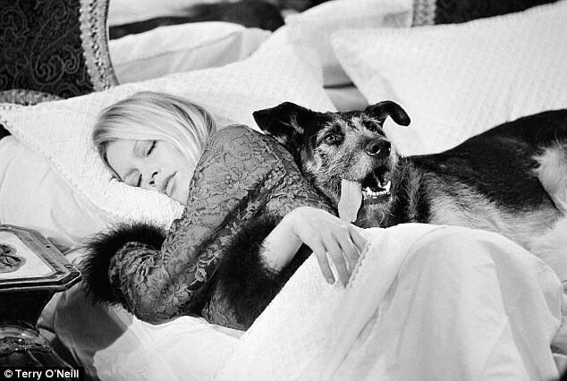   Happy Birthday Brigitte Bardot.