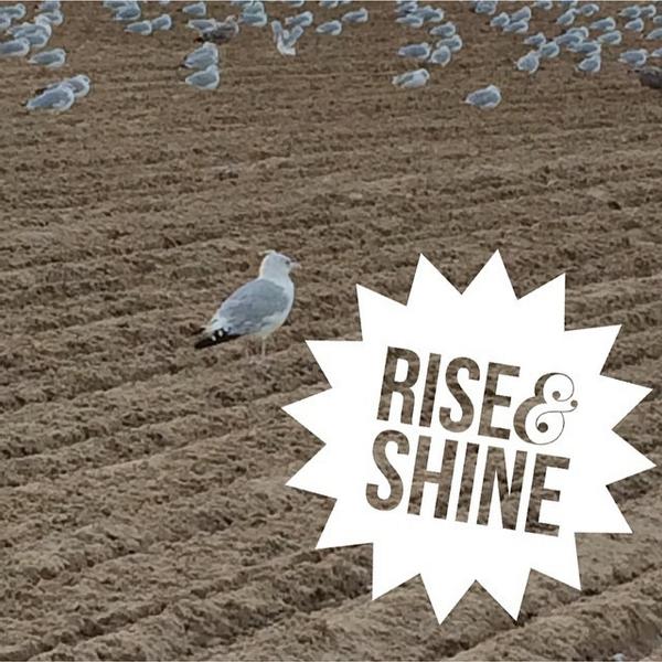 WomanlyWoman's tweet image. Good morning, #BloggyCon14. Lol