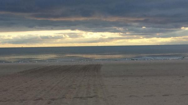 UdderlySmooth's tweet image. Last day of #bloggycon14.   Good morning make it a great one