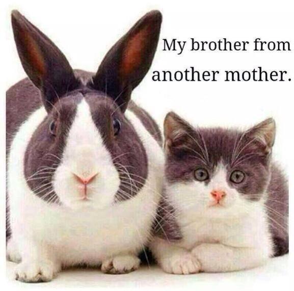 rubyhippo's tweet image. #innocent #cute and super #funny haha