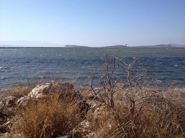 Perfect Sunday afternoon (@ Kuş Cenneti in İzmir, Türkiye) swarmapp.com/pleasurephaser…