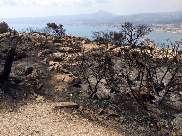 Hemos estado viendo las consecuencias del incendio en el #Montgo Pensando ya en el futuro y un paisaje mejor.