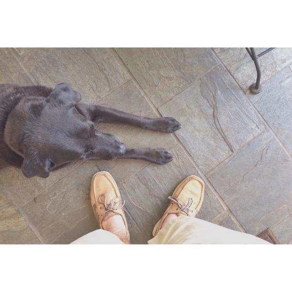 ClassicPrepMan's tweet image. A man and his dog = life 👌