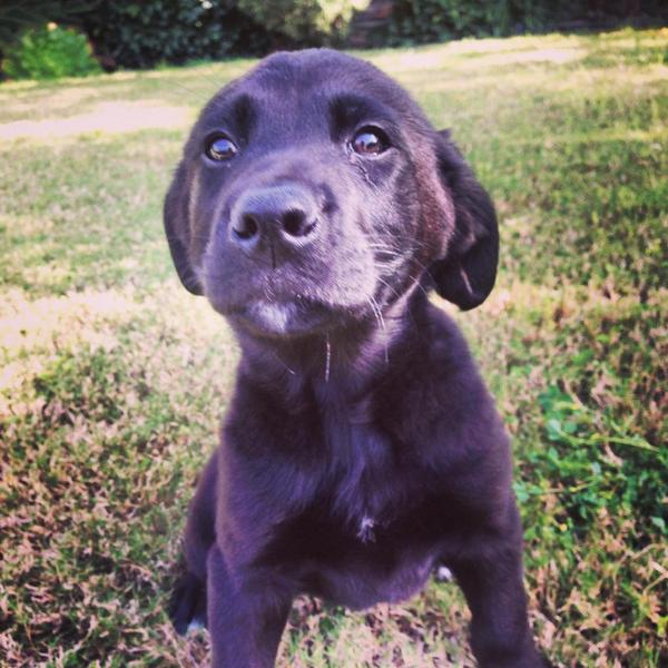 SummerShea's tweet photo. Oh sweet baby http://t.co/8p9jXb2M23