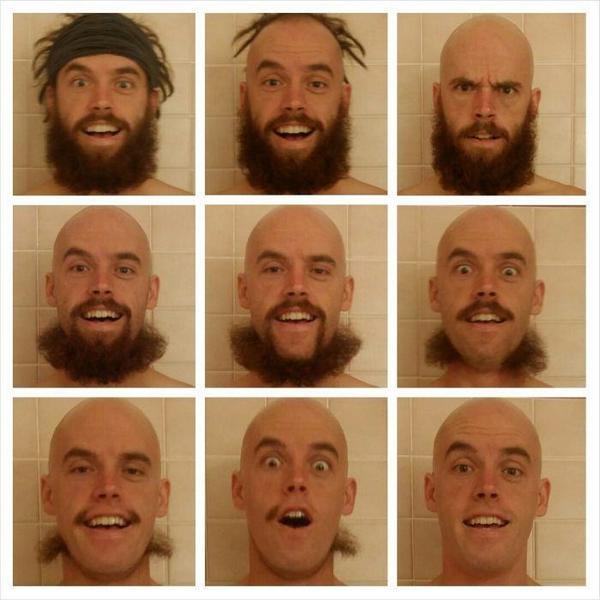 ThePoke's tweet image. Splendid time-lapse de-fuzzing.