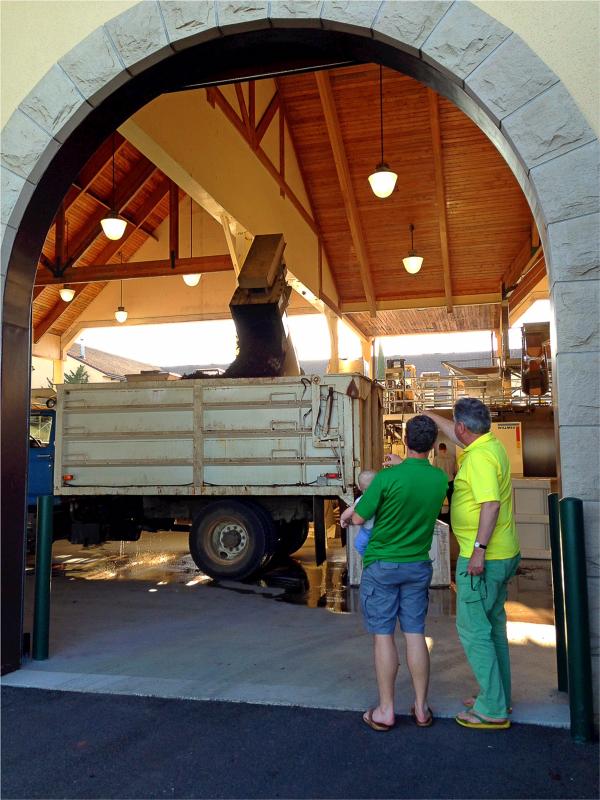 Jake, Mills and Chris watch as the 2014 vintage harvest gets underway at King Estate.