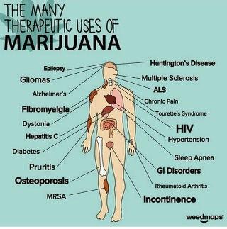 #mmj is safe, effective, medicine. 🌱