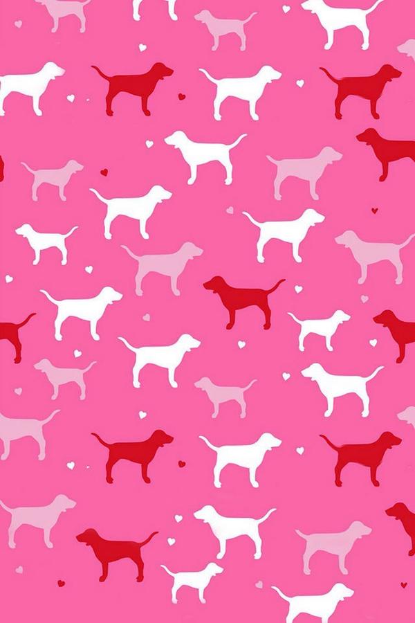 Indyarosestubbs (@indyloves246) on Twitter photo 