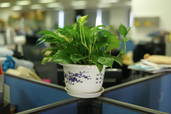 hri_nyc's tweet photo. HRI can optimize the #ROI on your work/life #balance. Contact us for more info! http://t.co/rKwkTbt50C http://t.co/m0llaGOBT5