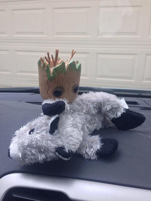SoMeGeekLawyer's tweet photo. Groot loves all rodents. #GrootWar #DontTellRocket cc @Jenny_Newman http://t.co/dpK4Qf9Bbi