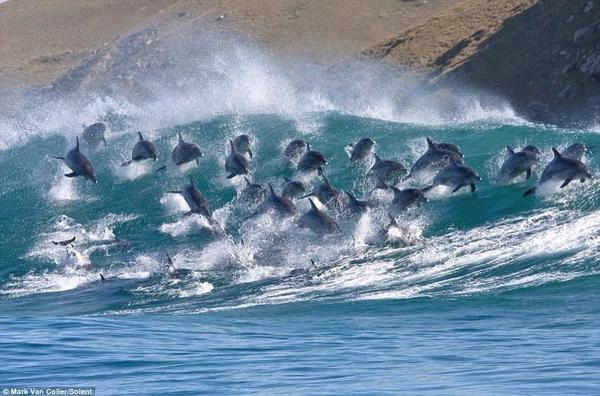 RDK (@rdkverityfarms) on Twitter photo 