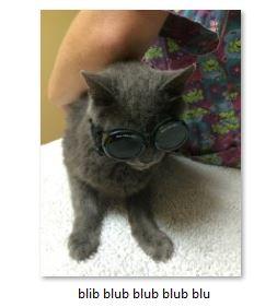 x9spite's tweet image. like these are my file names